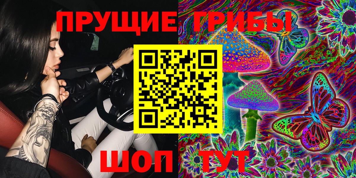Псилоцибиновые грибы GOLDEN TEACHER Брянск