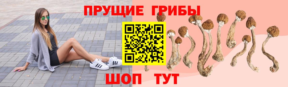 Псилоцибиновые грибы мухоморы  Вход с VPN  Брянск  Галлюциногенные грибы ЛСД 